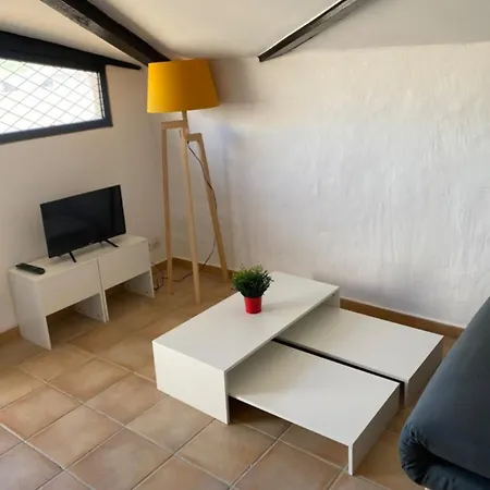 Studio With Terrace In The City Center Daire Carcassonne
